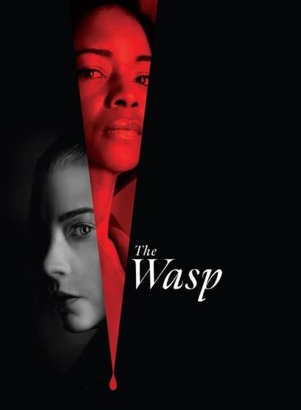 دانلود فیلم The Wasp زنبور