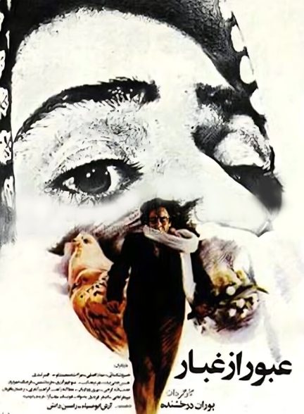 دانلود فیلم Passing Through the Mist عبور از غبار