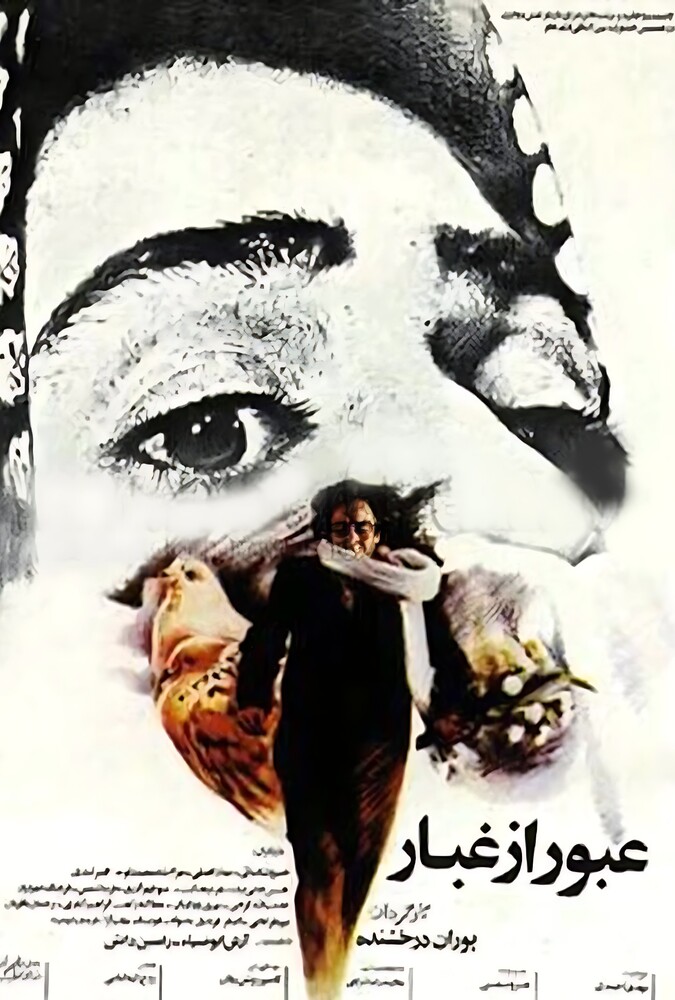 دانلود فیلم Passing Through the Mist عبور از غبار