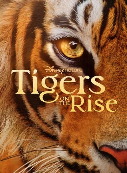 دانلود فیلم Tigers on the Rise ببرهای در حال ظهور