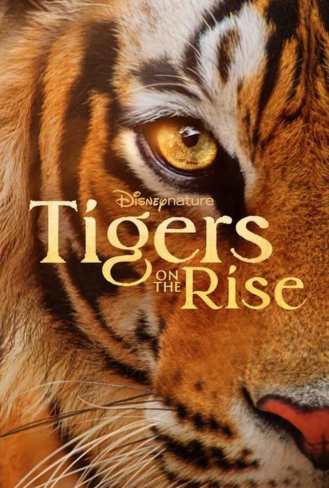 دانلود فیلم Tigers on the Rise ببرهای در حال ظهور