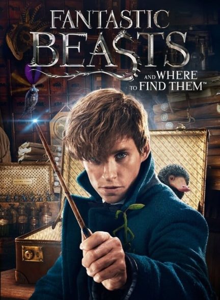 دانلود فیلم Fantastic Beasts and Where to Find Them جانوران خارق العاده و کجا می توان آنها را پیدا کرد