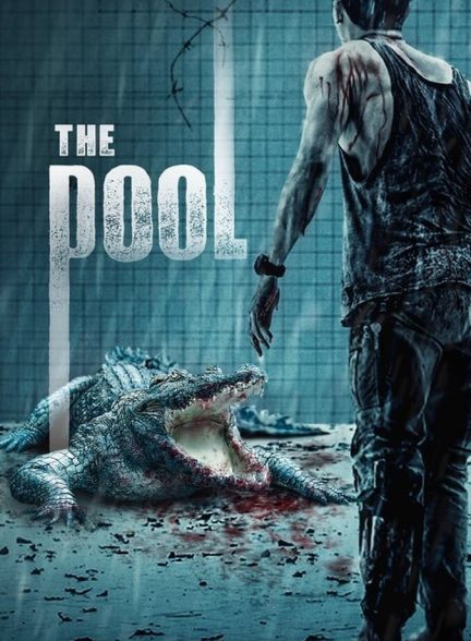 دانلود فیلم The Pool استخر
