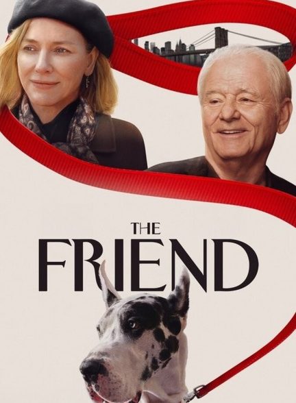 دانلود فیلم The Friend دوست