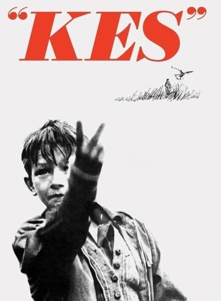 دانلود فیلم Kes قوش