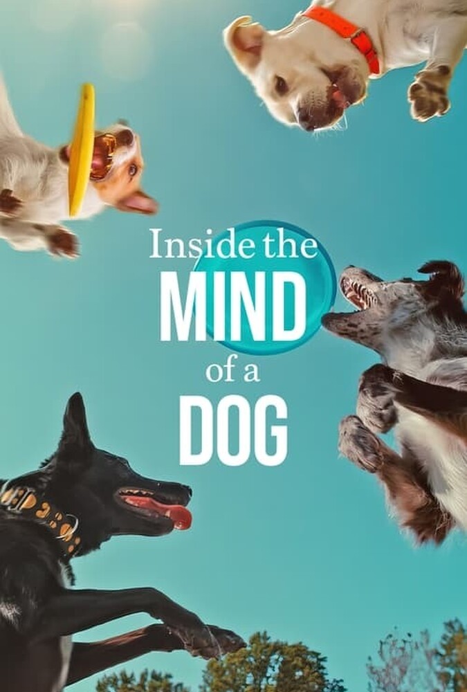 دانلود فیلم Inside the Mind of a Dog درون ذهن یک سگ