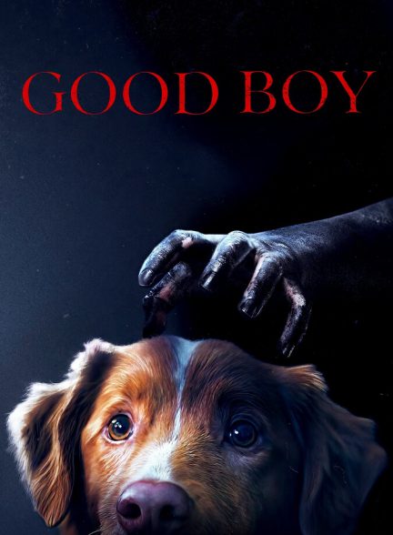 دانلود فیلم Good Boy پسر خوب